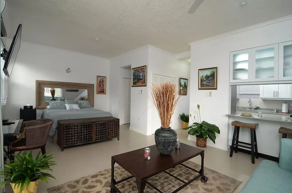 Kingsway New Kingston Guest Apartment II 0*,